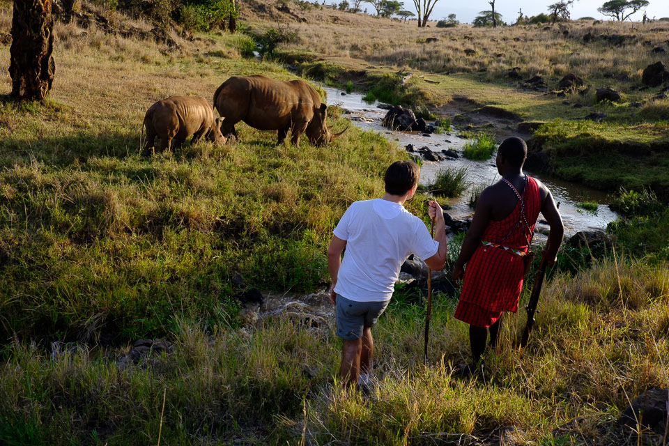 Kenya Safari from Scandinavia: The Ultimate Guide for Swedish, Norwegian, Danish & Finnish Travellers (2026)