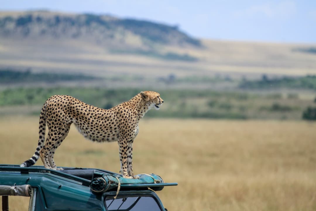 9 Days / 8 Nights Flying Luxury Safari in Kenya