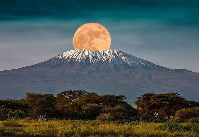 Mountain Climbing - Safari experience showcasing A Safari Beyond the Wild in East Africa