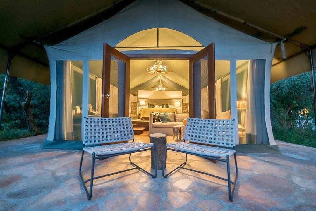 Luxury safari experience